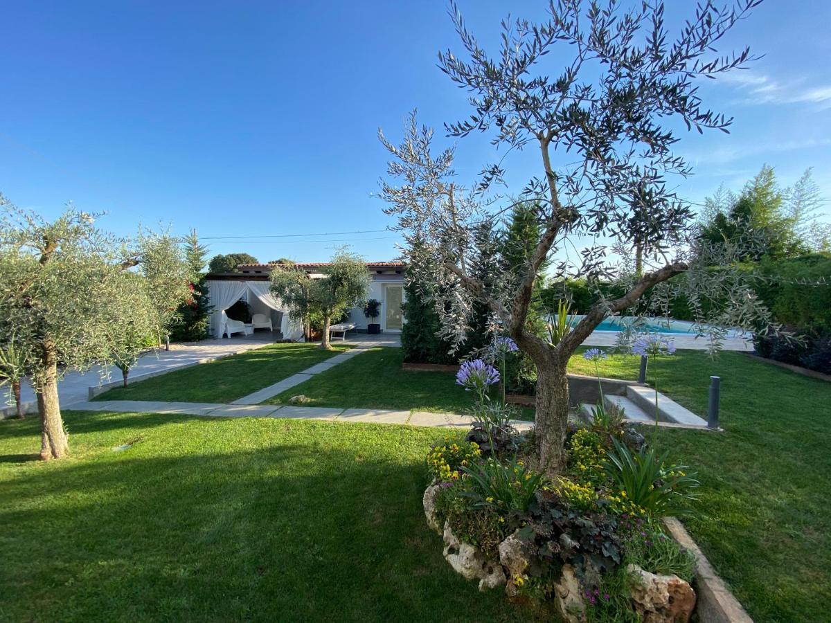 Bed and Breakfast Mincio Relais Castelnuovo del Garda Exterior foto